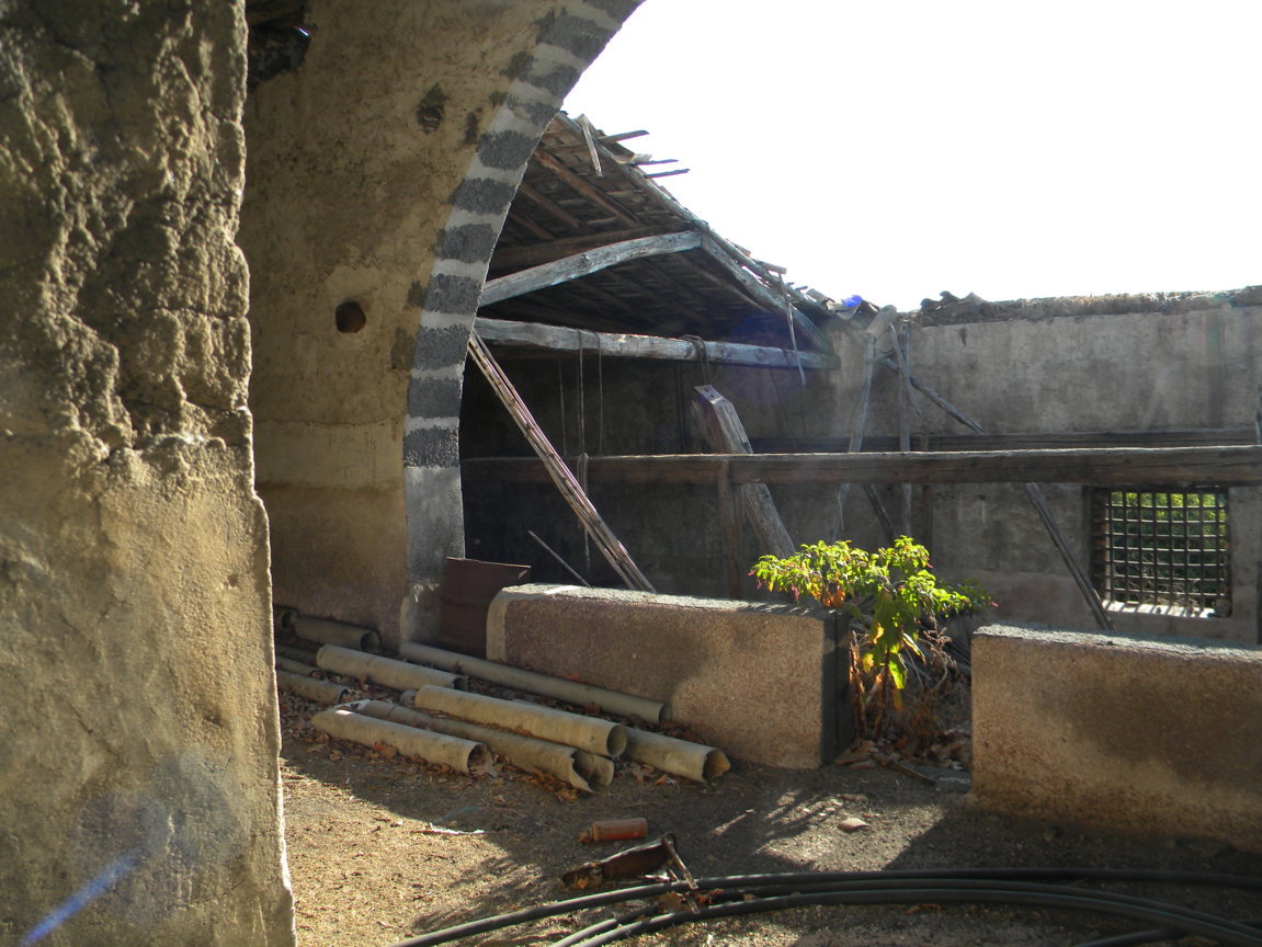 DSCN8031 .JPG